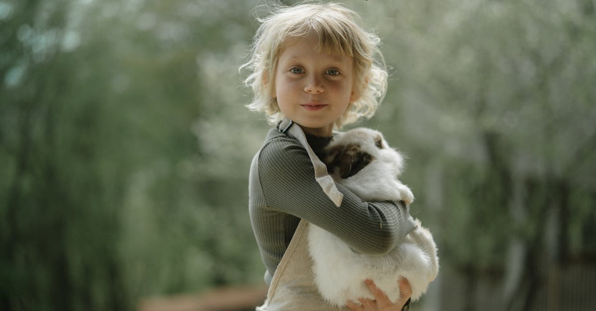 Carrying a rabbit from France to Austria - Child Carrying a Rabbit Carrying a rabbit from France to Austria - Child Carrying a Rabbit