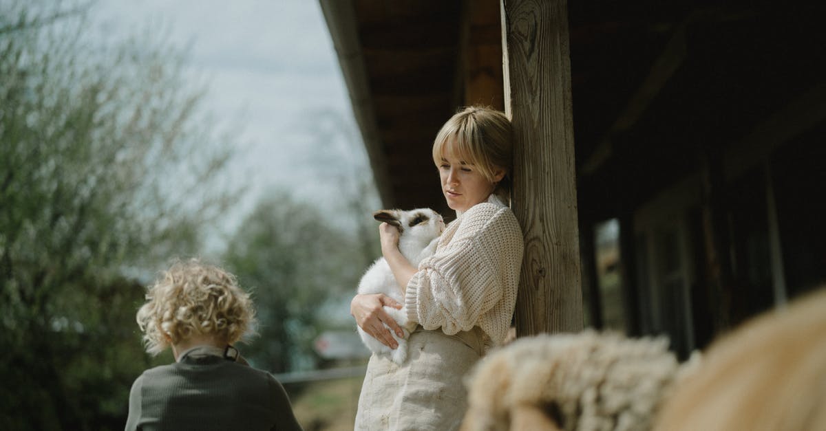 Carrying a rabbit from France to Austria - A Woman Carrying a Rabbit Carrying a rabbit from France to Austria - A Woman Carrying a Rabbit