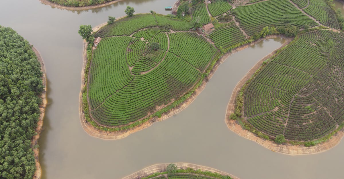 Carrying tea tree oil while traveling from London to India - Curvy river flowing through green tea hills in Vietnam Carrying tea tree oil while traveling from London to India - Curvy river flowing through green tea hills in Vietnam