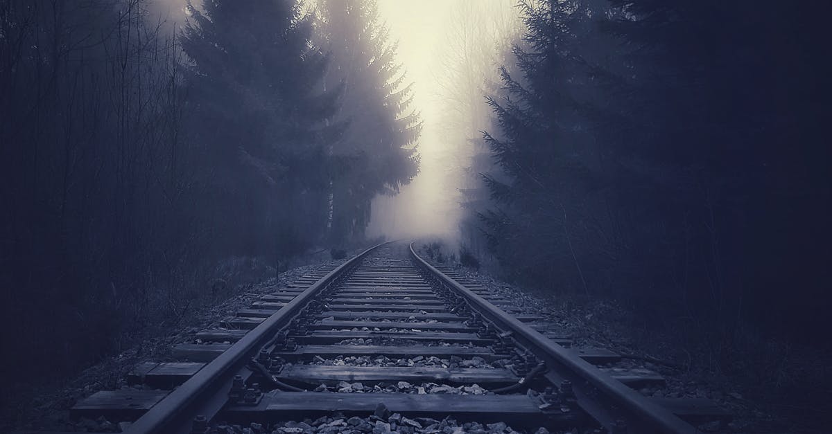 CDG to Bordeaux train options - Train Tracks in Forest in Fog CDG to Bordeaux train options - Train Tracks in Forest in Fog