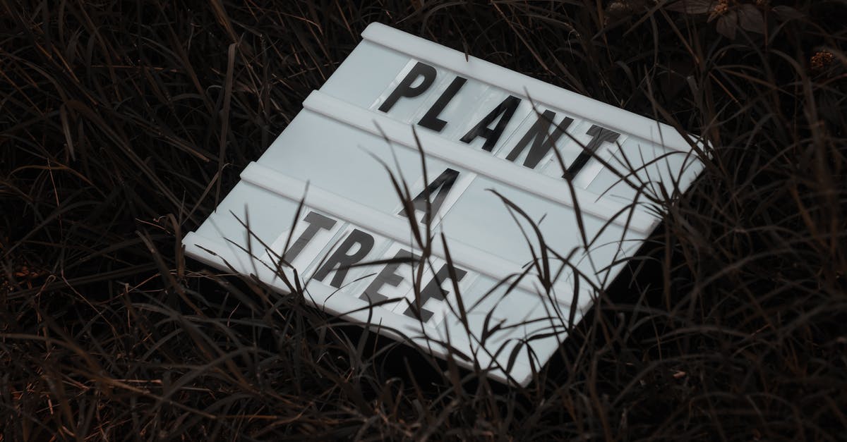 Cell Broadcast message in Florence [closed] - Free stock photo of abandoned, accident, art
