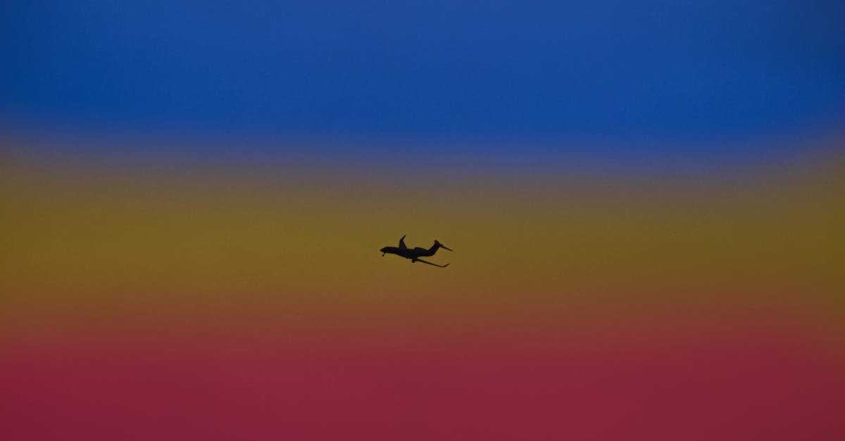 Changing airline in Sydney. Do I need a transit visa? - Silhouette of airplane landing gear transporting people or goods soaring over bright colorful sky Changing airline in Sydney. Do I need a transit visa? - Silhouette of airplane landing gear transporting people or goods soaring over bright colorful sky