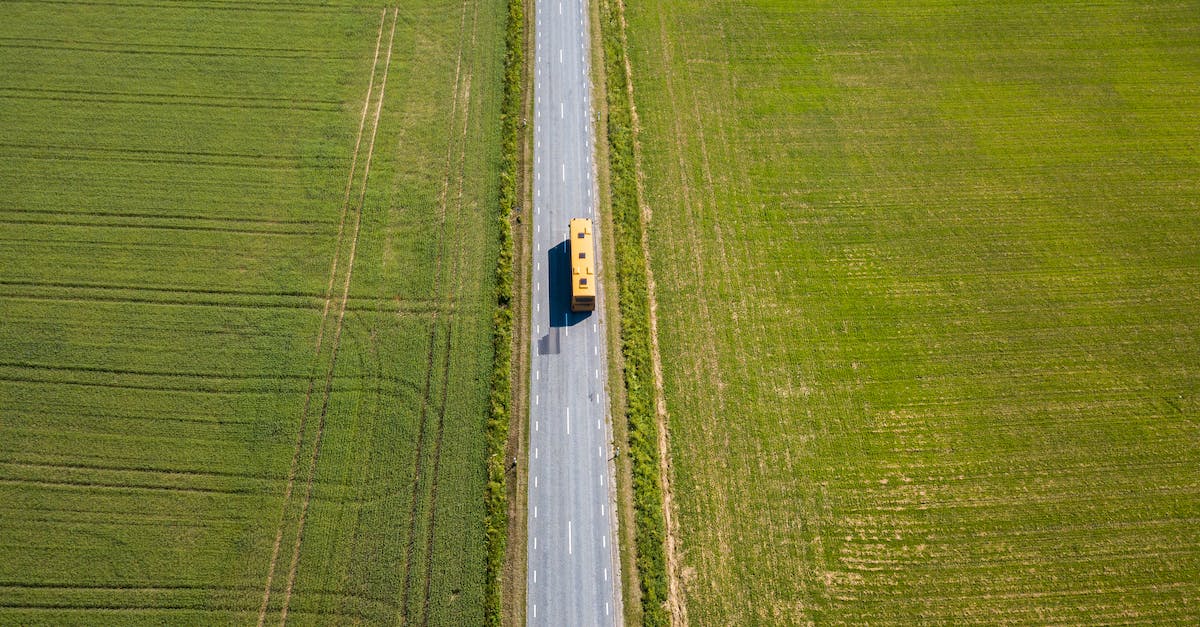 Cheap bus lines in Germany, something like Orangeways? - White Car on Road in Between Green Grass Field Cheap bus lines in Germany, something like Orangeways? - White Car on Road in Between Green Grass Field