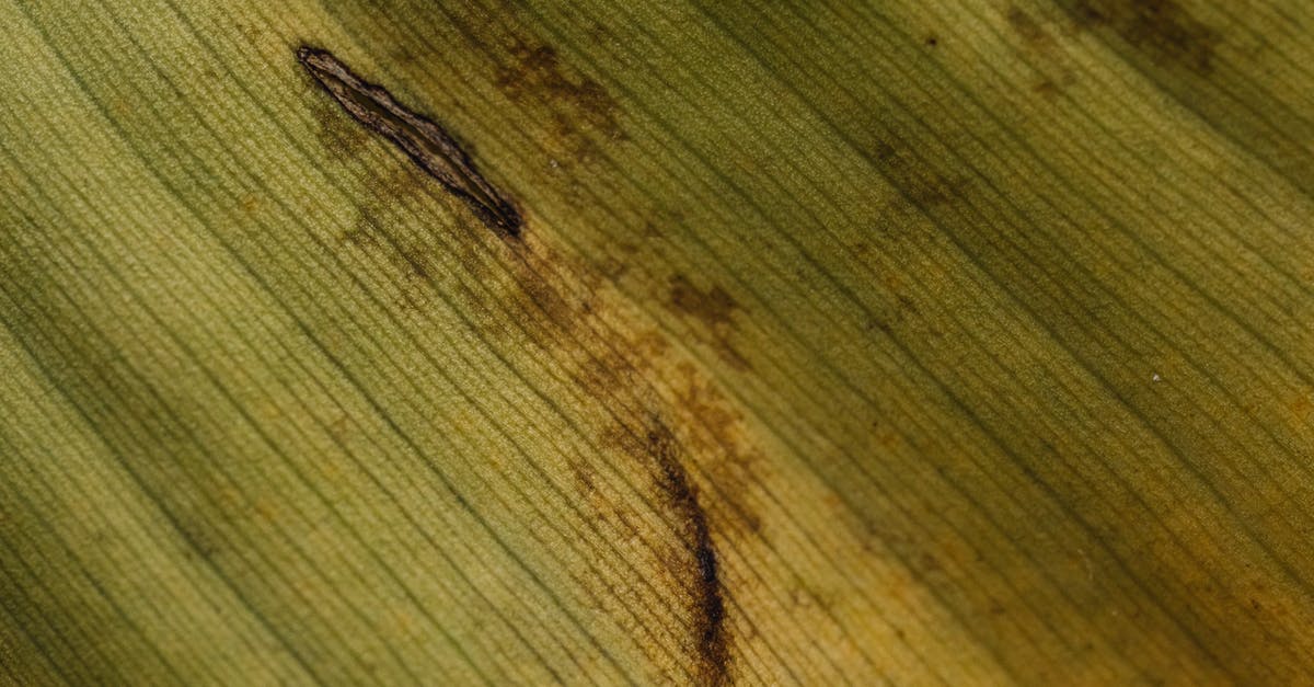 Checked baggage damaged - Brown Rope on Brown Wooden Surface Checked baggage damaged - Brown Rope on Brown Wooden Surface