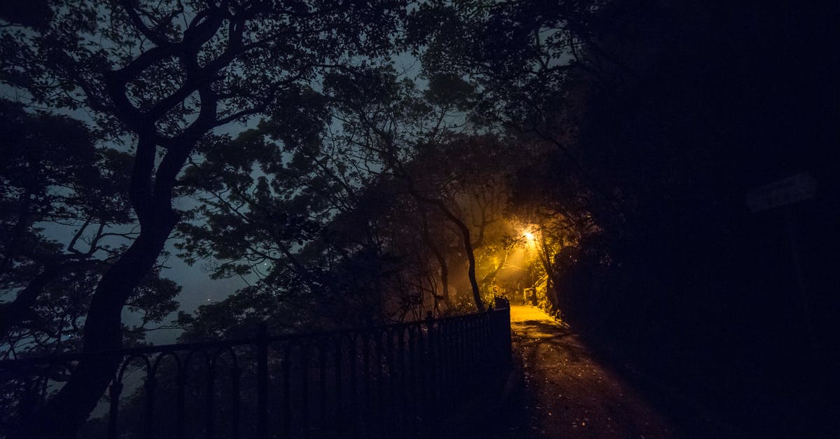 China M visa in HK for non-HK ID holder - Silhouette Of Trees