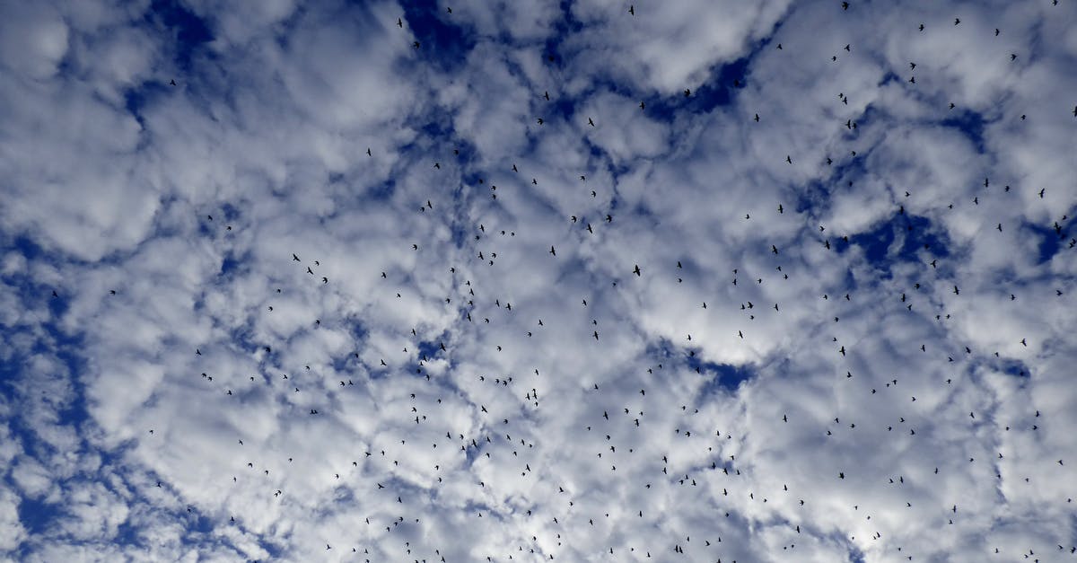 Clearing Customs and skipping connecting flight at ORD? - White and Blue Sky Clearing Customs and skipping connecting flight at ORD? - White and Blue Sky