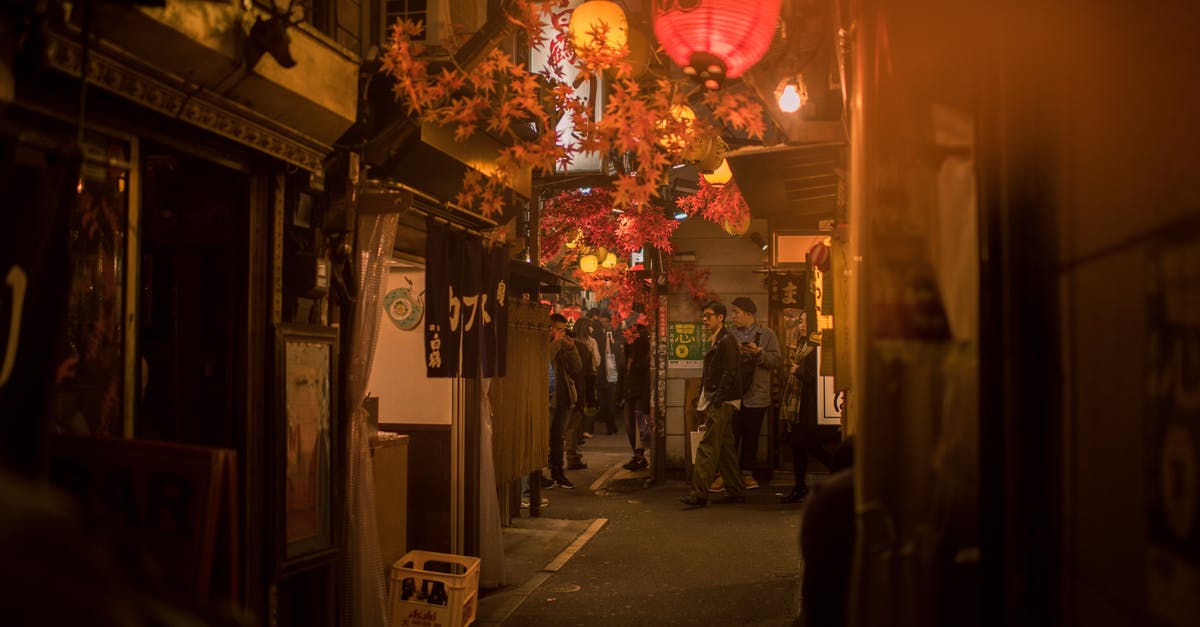 Communicating in Tokyo without Japanese - Photo of People Walking on Alleyway Communicating in Tokyo without Japanese - Photo of People Walking on Alleyway