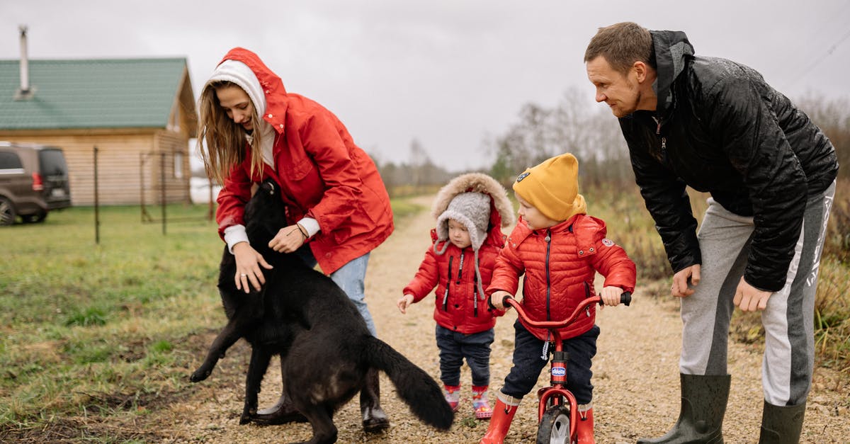 Companion Visa for family - A Woman Playing with Their Pet Dog Companion Visa for family - A Woman Playing with Their Pet Dog