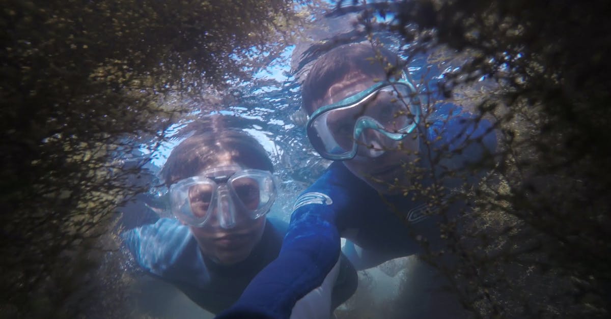 Comparison website for scuba diving prices? - Photo of Two People Snorkeling. Comparison website for scuba diving prices? - Photo of Two People Snorkeling.