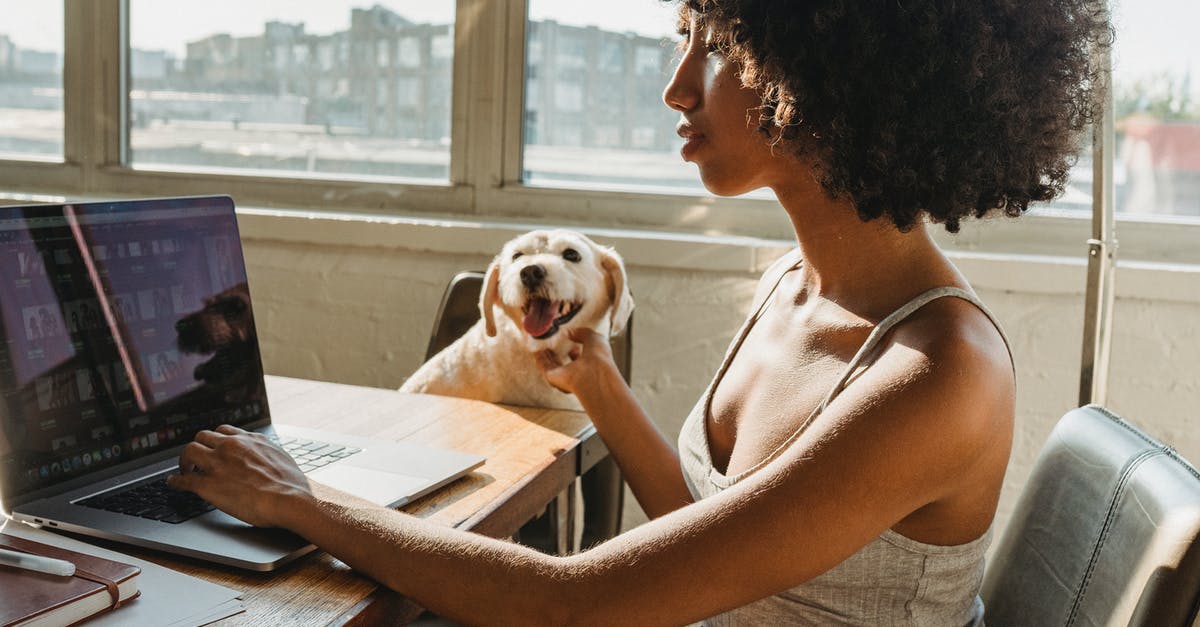 Could being caught working illegally in Taiwan affect my entry to Singapore? - Concentrated young black woman working remotely on computer while sitting in room at table and petting dog Could being caught working illegally in Taiwan affect my entry to Singapore? - Concentrated young black woman working remotely on computer while sitting in room at table and petting dog