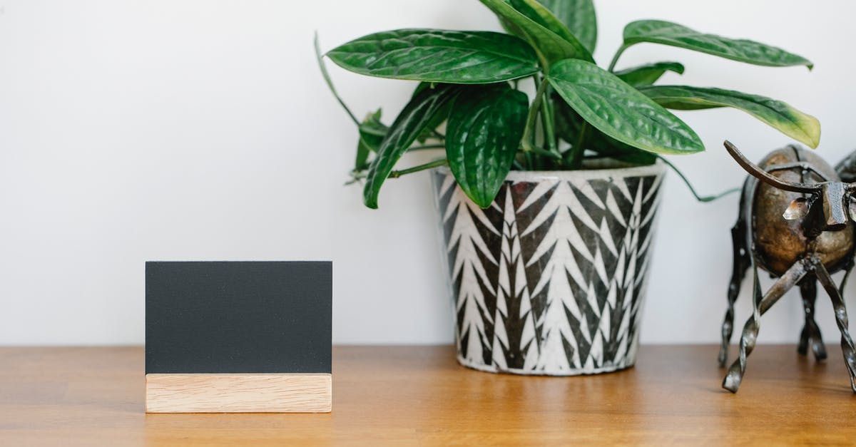 Credit card name mismatch because of long name - Blank name card placed on shelf near potted plant and metal cow statuette against gray wall Credit card name mismatch because of long name - Blank name card placed on shelf near potted plant and metal cow statuette against gray wall
