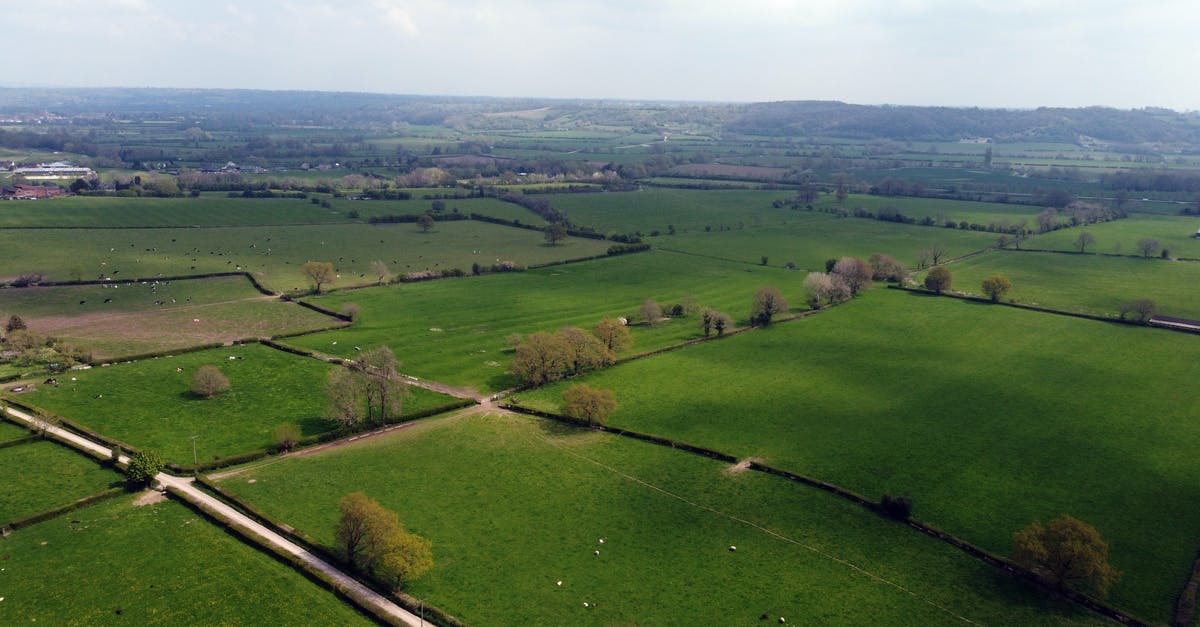 Crossed rangeland or pastures (such as fields with sheep or cows) in England. Have I been to a farm as far as U.S. Customs / Agriculture is concerned? - Fields in Leicestershire Crossed rangeland or pastures (such as fields with sheep or cows) in England. Have I been to a farm as far as U.S. Customs / Agriculture is concerned? - Fields in Leicestershire