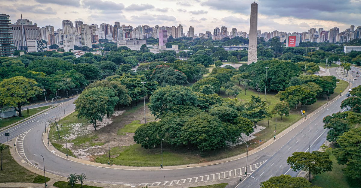 Crossing the Amazon, route 319 - Green trees with lush foliage growing on street surrounded with asphalt roads against tall residential buildings and cloudy sky in city Crossing the Amazon, route 319 - Green trees with lush foliage growing on street surrounded with asphalt roads against tall residential buildings and cloudy sky in city