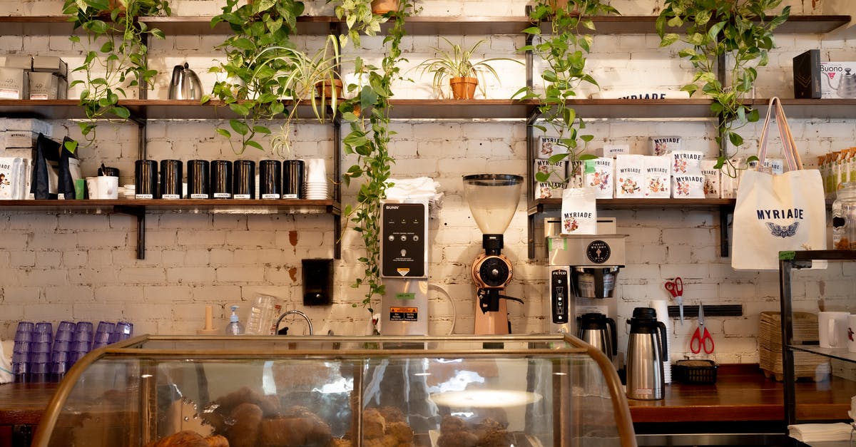 Custom Rules in Canada about bringing food - Green Plant on Brown Wooden Shelves Custom Rules in Canada about bringing food - Green Plant on Brown Wooden Shelves
