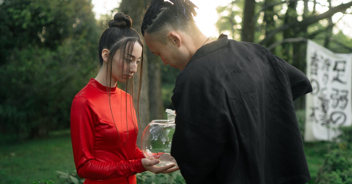 Customs & Ticketing going to Japan - Woman In Red Dress Holding A Fish Bowl Customs & Ticketing going to Japan - Woman In Red Dress Holding A Fish Bowl