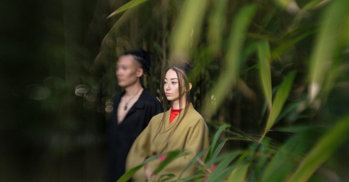 Customs & Ticketing going to Japan - Man And Woman Standing Beside Green Grass Customs & Ticketing going to Japan - Man And Woman Standing Beside Green Grass