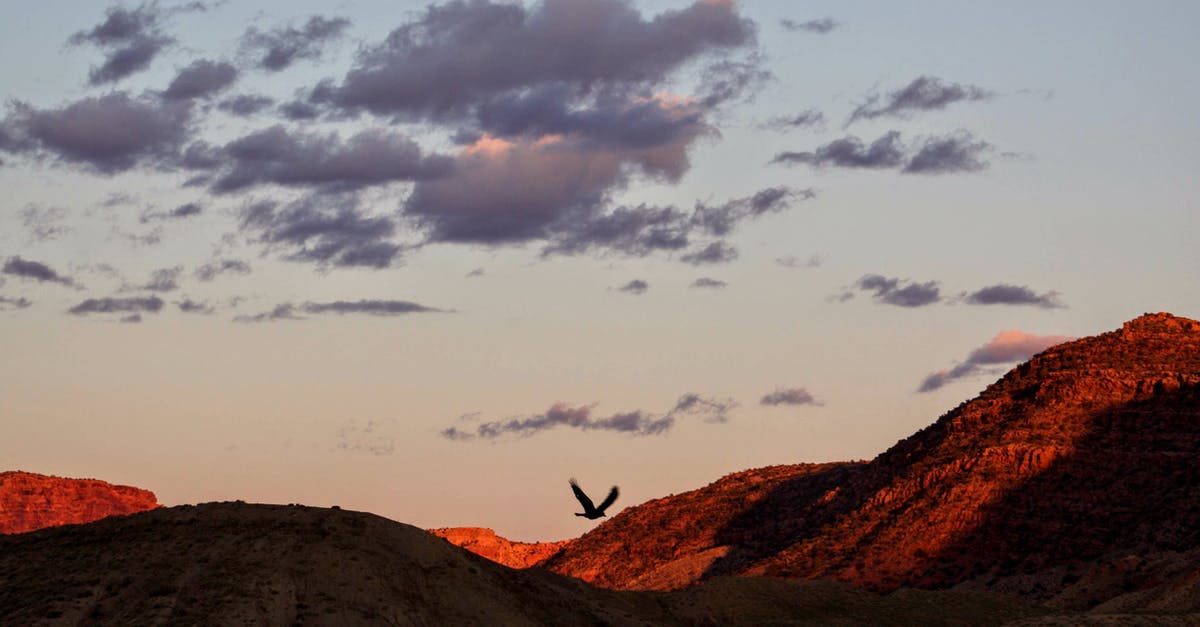 Dealing with dry nose/throat when flying - Photography of Flying Bird on Top of Mountain