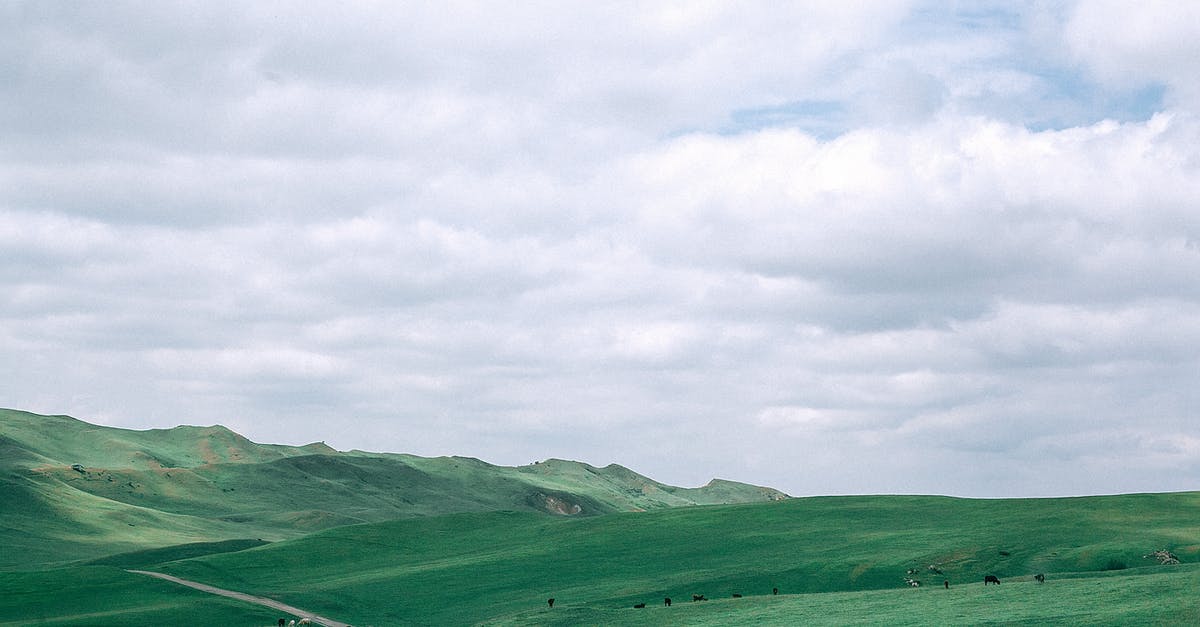 Difference between air fare for same route - Scenery view of wavy road between bright hills with grazing cattle under sky with clouds on farmland Difference between air fare for same route - Scenery view of wavy road between bright hills with grazing cattle under sky with clouds on farmland