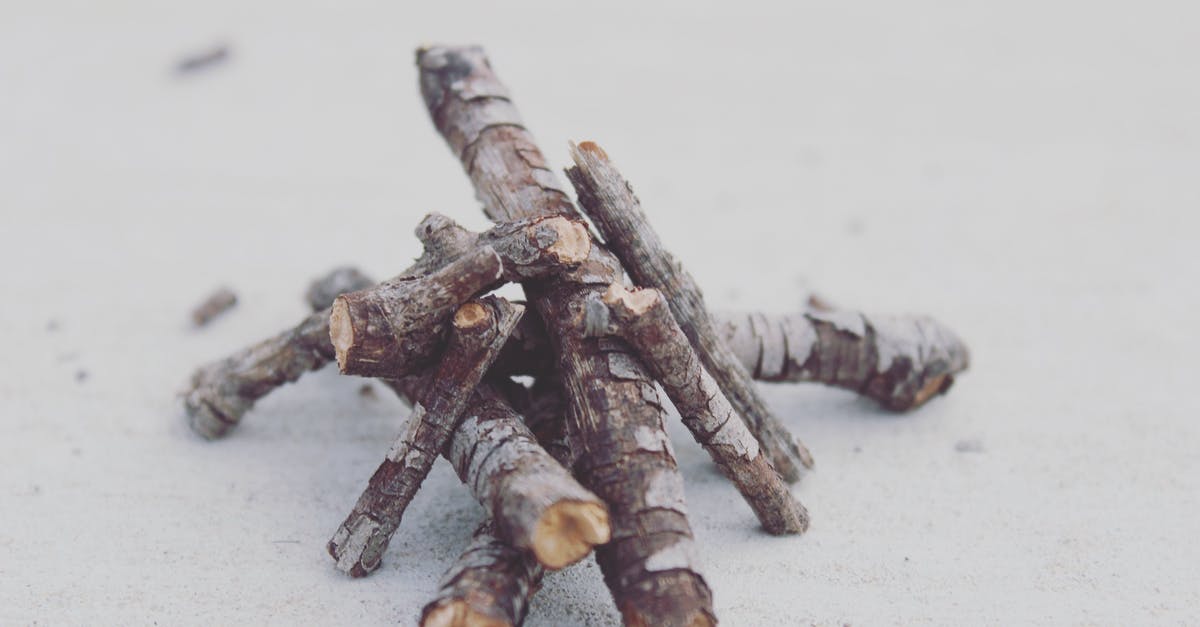 Do airlines have substantially different policies regarding adverse weather conditions? - From above composition of heap of small tree sticks of different size with dry bark and rough uneven surface on snow in winter