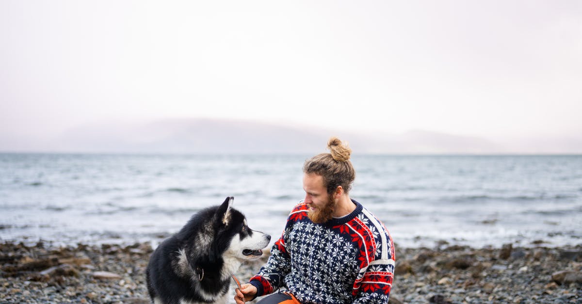 Do any passenger-carrying freighters connect Norway to North America through the Arctic? - Man Sitting on a Seashore with His Husky Dog Do any passenger-carrying freighters connect Norway to North America through the Arctic? - Man Sitting on a Seashore with His Husky Dog