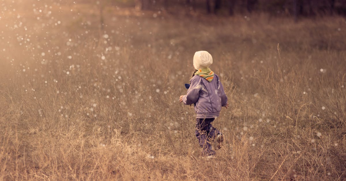 Do children stay free in hotels/accommodation in South Africa? - Child Walking on Grass Path Do children stay free in hotels/accommodation in South Africa? - Child Walking on Grass Path