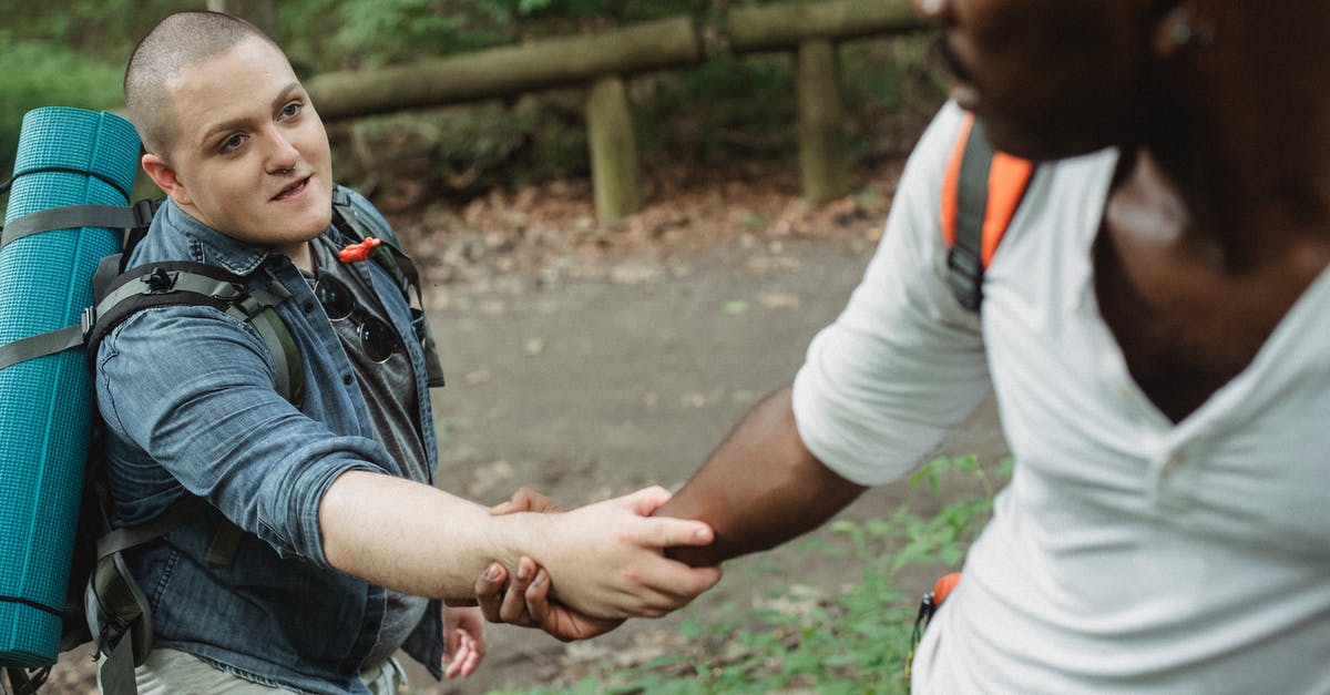 Do cruise lines other than Royal and Carnival provide "active" activities? [closed] - Unrecognizable black adventurer providing hand for happy plump male friend with big backpack and rolled rug in woodland in daytime