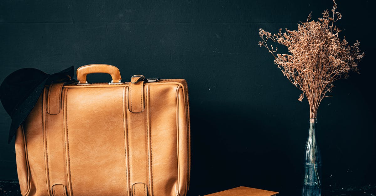 Do I have to handle my bags when transiting in Istanbul? - Brown Leather Handbag Do I have to handle my bags when transiting in Istanbul? - Brown Leather Handbag