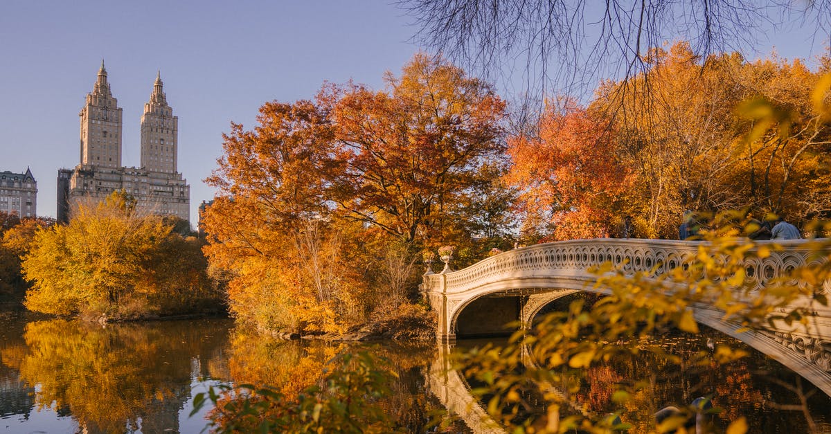 Do I need a rabies vaccination for Central America? [closed] - Bow Bridge crossing calm lake in autumn park