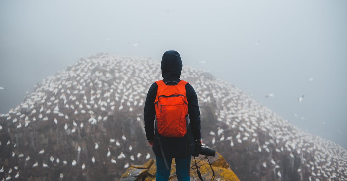 Do I need a transit visa to fly alone through Dublin (Ireland) to Philippines and back? - Faceless backpacker contemplating flock of birds on mount in fog Do I need a transit visa to fly alone through Dublin (Ireland) to Philippines and back? - Faceless backpacker contemplating flock of birds on mount in fog