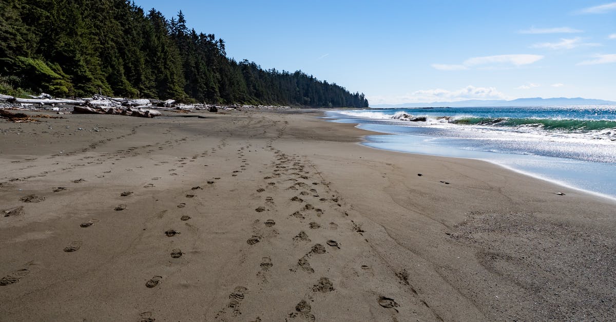Do I need a visa to enter Canada from land with a US Refugee Travel Document? - Beach Shore With Green Trees and Blue Sky Do I need a visa to enter Canada from land with a US Refugee Travel Document? - Beach Shore With Green Trees and Blue Sky