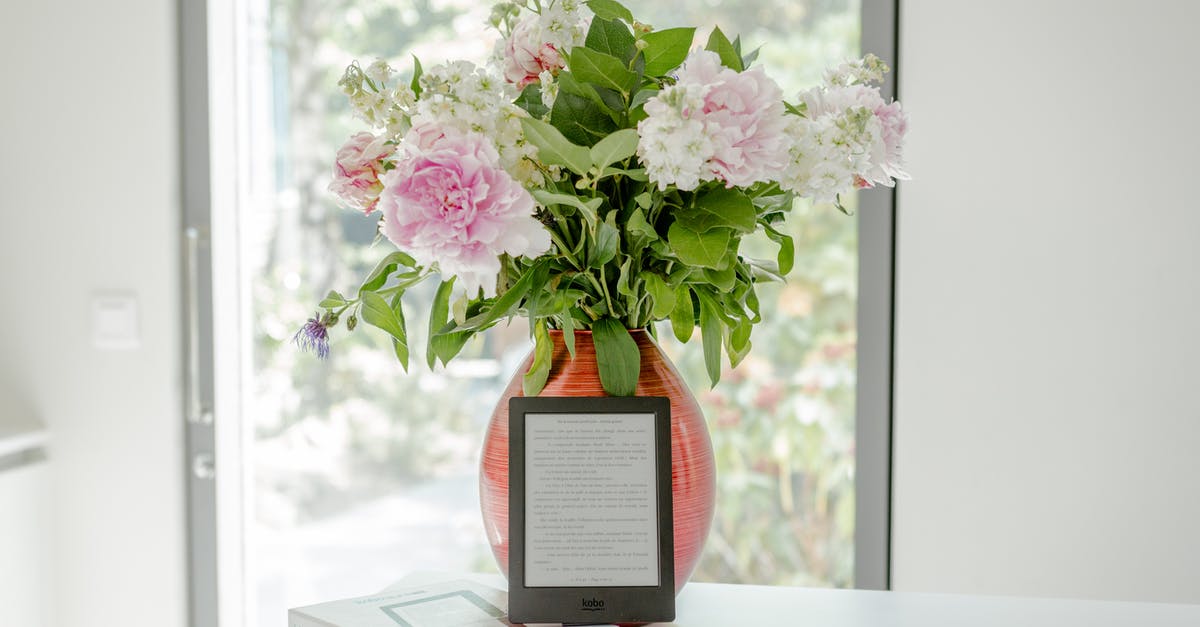 Do I need a voltage converter for my Surface tablet in Rome? - Potted Pink Petaled Flower Near Black Tablet