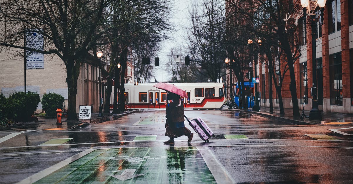 Do I need to cross immigration to collect my baggage at FCO [duplicate] - Pedestrian with pink umbrella and suitcase on wheels crossing asphalt roadway on zebra near bike lane under rain