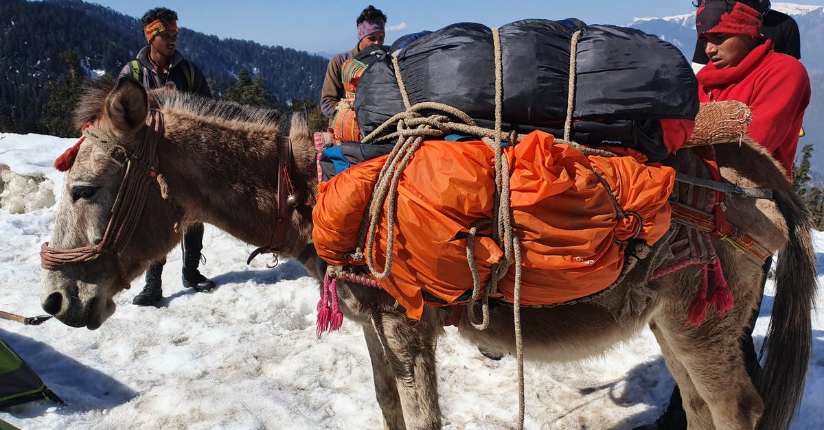 Do I need to recheck bags at Boston? - Horse Carrying Bags in Mountains Do I need to recheck bags at Boston? - Horse Carrying Bags in Mountains