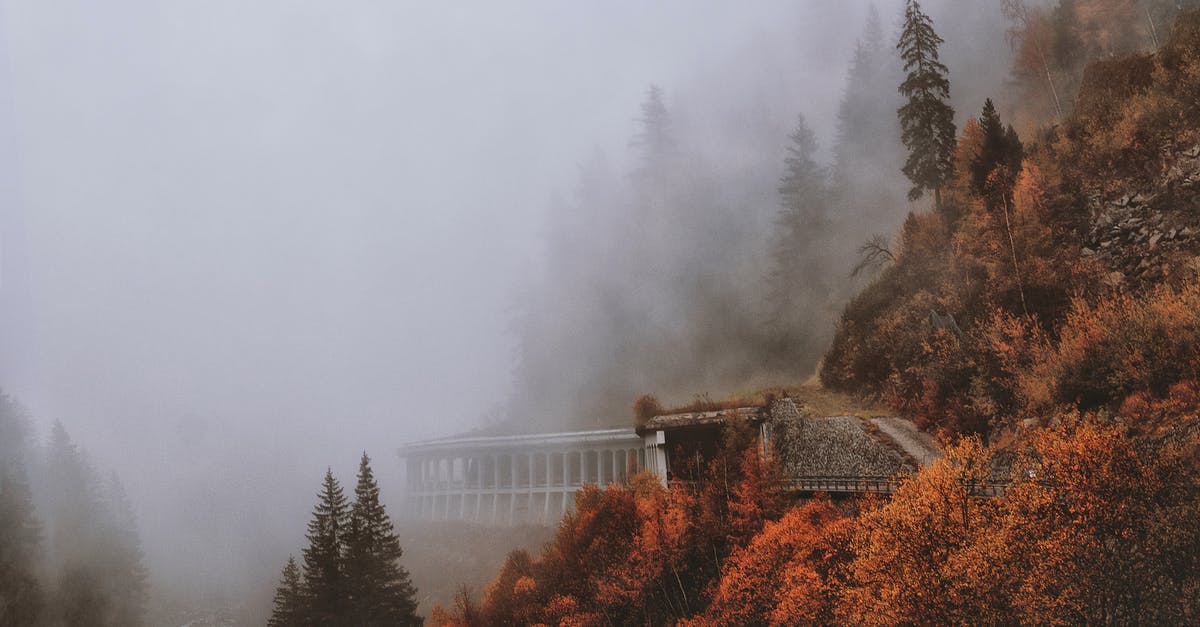 Do I need to take any precautions regarding smog when travelling? - Brown and Green Leaved Trees Covered With Fog Do I need to take any precautions regarding smog when travelling? - Brown and Green Leaved Trees Covered With Fog