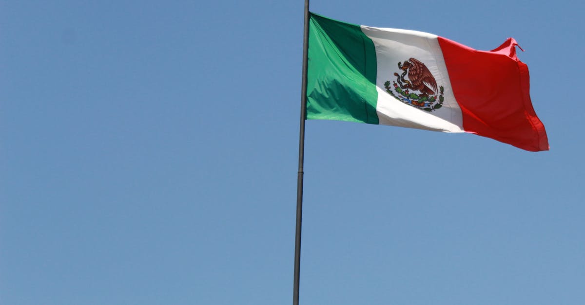 Do Mexican nationals have to go through immigration and customs in Mexico? - A Mexican Flag Blowing with the Wind Do Mexican nationals have to go through immigration and customs in Mexico? - A Mexican Flag Blowing with the Wind