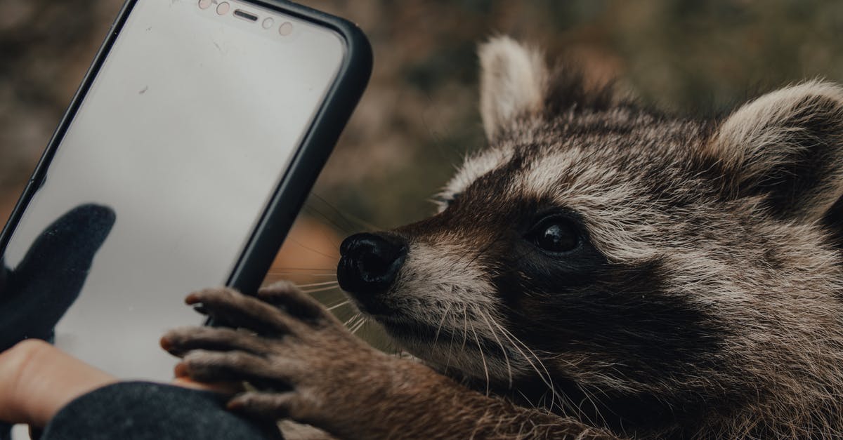 Do people use a colour photo or black/white for the Navigo Decouverte metro pass? - Person taking photo of raccoon on smartphone in nature Do people use a colour photo or black/white for the Navigo Decouverte metro pass? - Person taking photo of raccoon on smartphone in nature