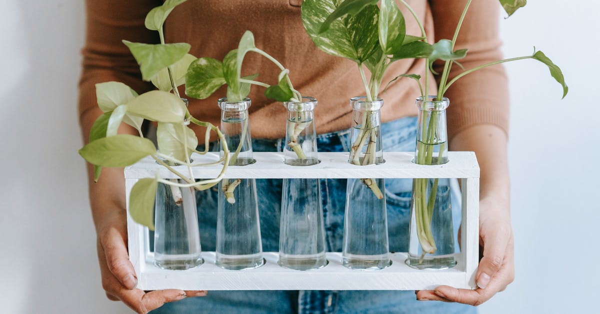 Do standard German topographic maps show water sources? - Crop gardener showing sprigs of Epipremnum in vases Do standard German topographic maps show water sources? - Crop gardener showing sprigs of Epipremnum in vases