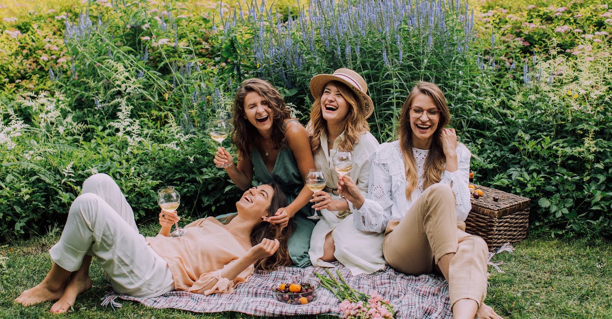 Do United's 787-9 Dreamliners have personal HDMI ports? - Women Sitting on Green Grass Field Do United's 787-9 Dreamliners have personal HDMI ports? - Women Sitting on Green Grass Field
