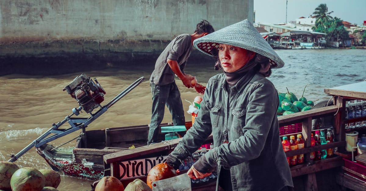 Do we need a visa? Vietnamese with Australian visa travelling SYD-TPE-ICN-TPE-SYD - Woman Wearing Gray Jacket Riding on Canoe Boat Do we need a visa? Vietnamese with Australian visa travelling SYD-TPE-ICN-TPE-SYD - Woman Wearing Gray Jacket Riding on Canoe Boat