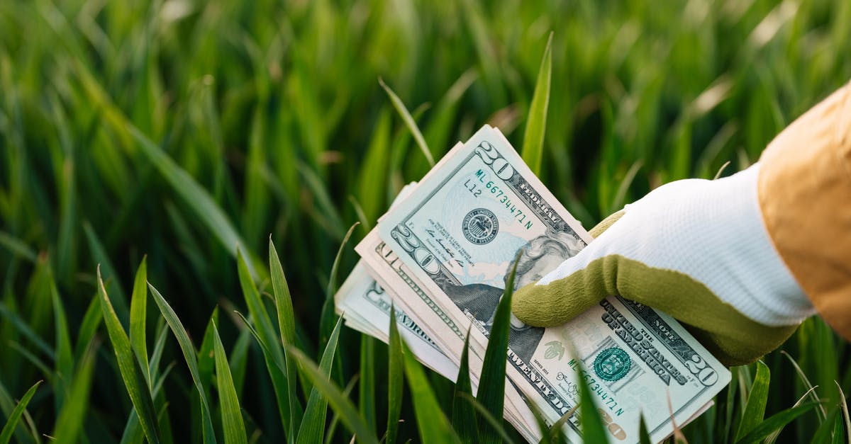 Does an Indian national with a USA green card need a visa to visit the UK? - Crop faceless grower in garden gloves demonstrating heap of paper money with photo of unrecognizable person and numbers near growing lush grass