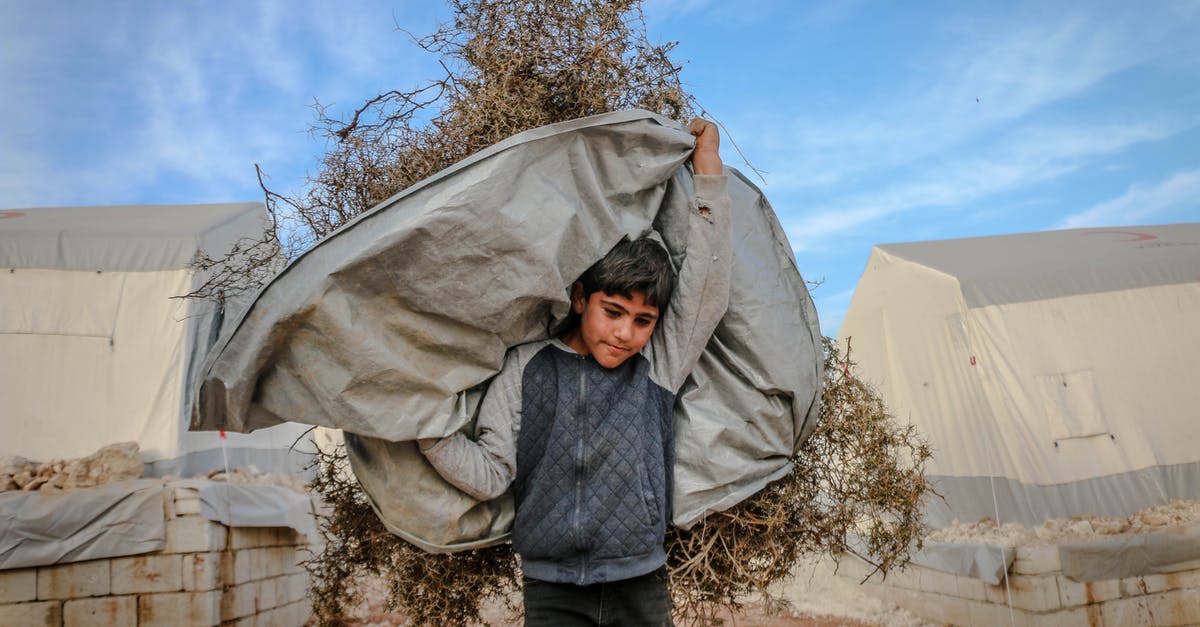 Does an Indian need a visa to visit the Schengen area as a tourist? - Strong ethnic boy carrying dry plants Does an Indian need a visa to visit the Schengen area as a tourist? - Strong ethnic boy carrying dry plants