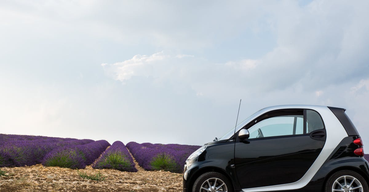Does anyone make a small traditional-style suitcase without wheels? - Black and Gray Hatchback in Front of Purple Plants Does anyone make a small traditional-style suitcase without wheels? - Black and Gray Hatchback in Front of Purple Plants