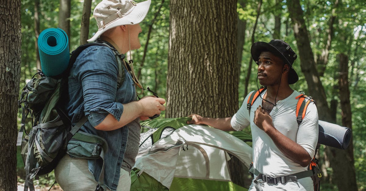 Does applying for the Diversity Green Card lottery affect future tourist visits to the US, if you don't win? [duplicate] - Positive traveling friends enjoying sunny day in forest