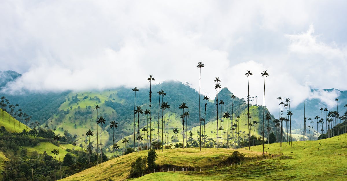 Does Colombia require proof of onward travel? - Tall Trees On THe Mountain Ranges Does Colombia require proof of onward travel? - Tall Trees On THe Mountain Ranges