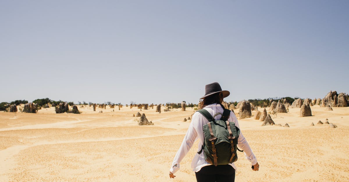 Does every tourist need a sponsor? - Man in Green Shirt and Black Pants Walking on Brown Sand Does every tourist need a sponsor? - Man in Green Shirt and Black Pants Walking on Brown Sand