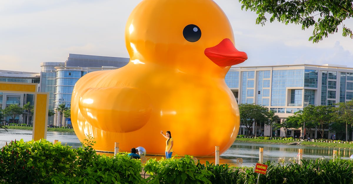 Does Georgia (the country) have a museum or sculpture park of Soviet/Communist/Socialist art? - Large Yellow Duckling Floating on Pond Does Georgia (the country) have a museum or sculpture park of Soviet/Communist/Socialist art? - Large Yellow Duckling Floating on Pond