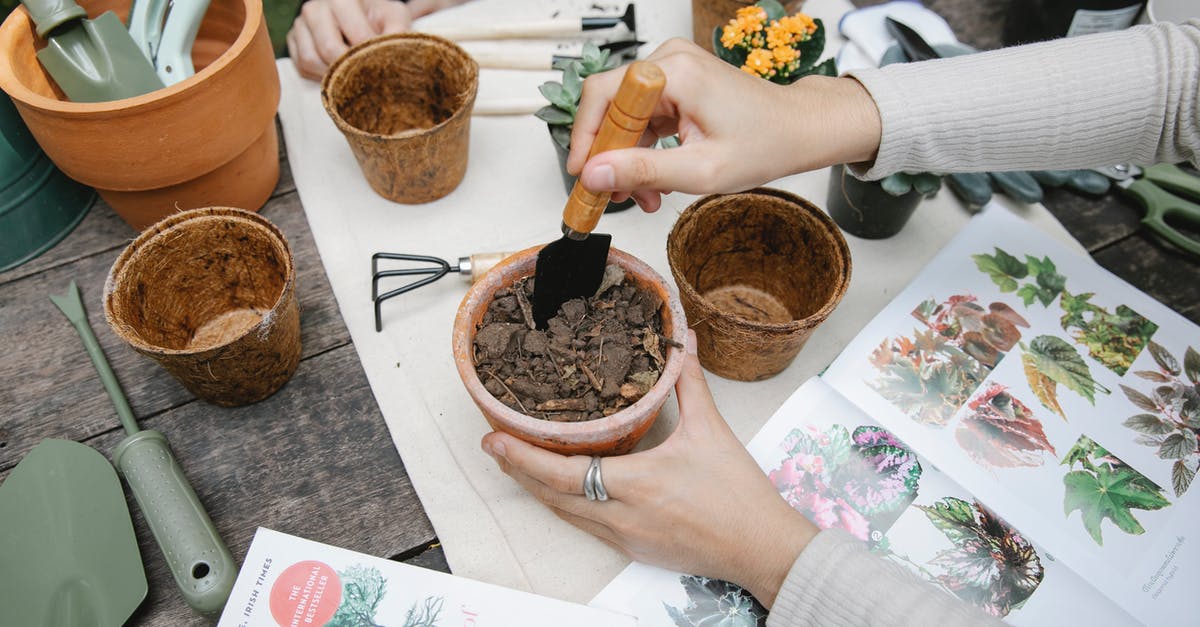 Does Kawartha Lakes/Peterborough County contain any high ground or lookouts? - From above of crop anonymous gardener with shovel preparing soil for seedling at table with opened book with illustrations