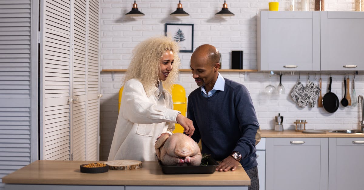 Does my husband need a visa for a layover in Turkey? [duplicate] - Black couple preparing turkey for dinner