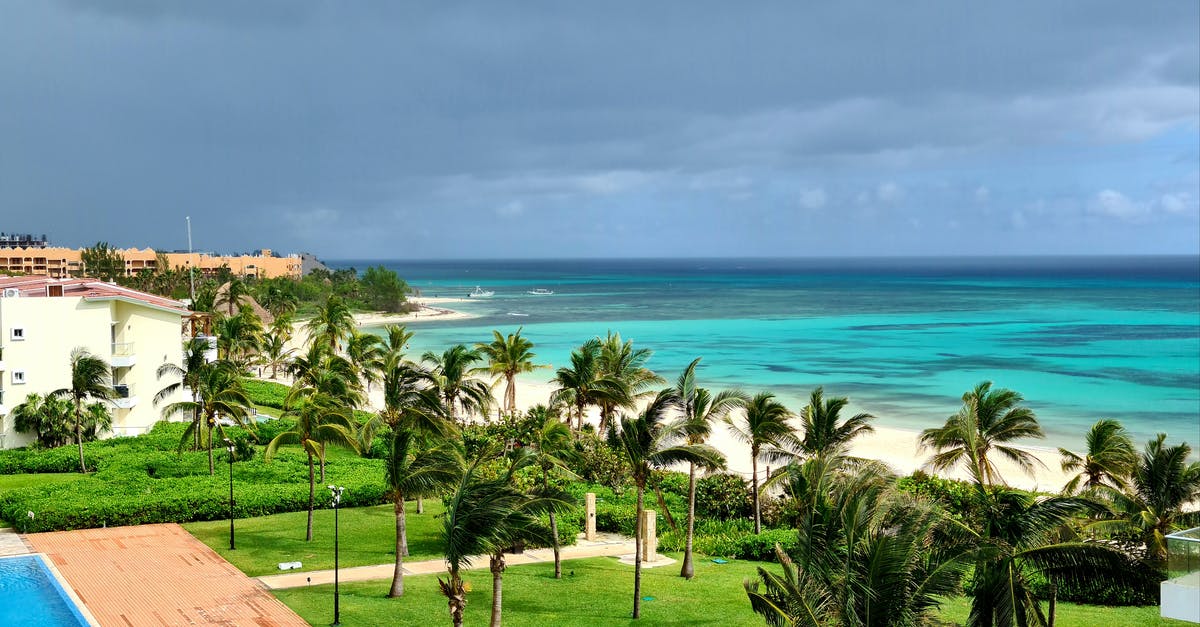 Does Playa Del Carmen have options for celiacs? - Green Palm Trees Near Body of Water Does Playa Del Carmen have options for celiacs? - Green Palm Trees Near Body of Water