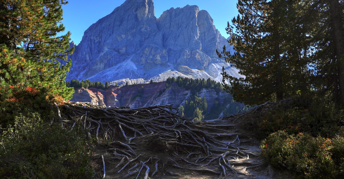 Does re-entering Italy restart the 3 month visitation limit? - Green Trees Near Mountain Under Blue Sky Does re-entering Italy restart the 3 month visitation limit? - Green Trees Near Mountain Under Blue Sky
